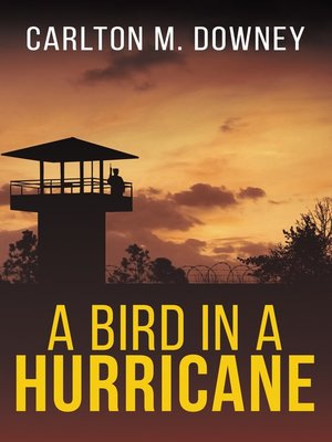 cover image of A Bird in a Hurricane